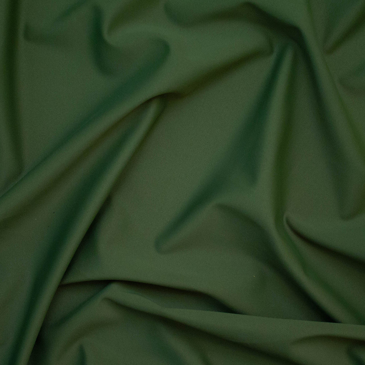Pine - Vita by Carvico Econyl All way Stretch Recycled Nylon Spandex Fabric
