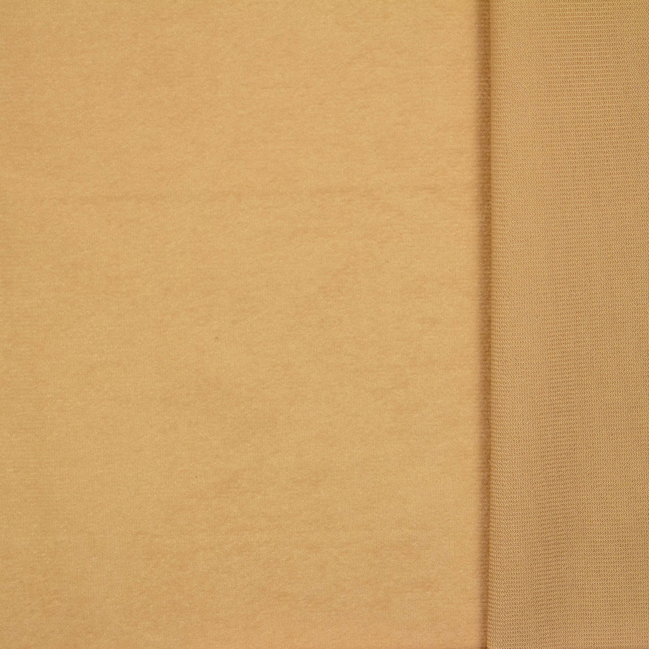 Suédine / Daim Biche en Crème