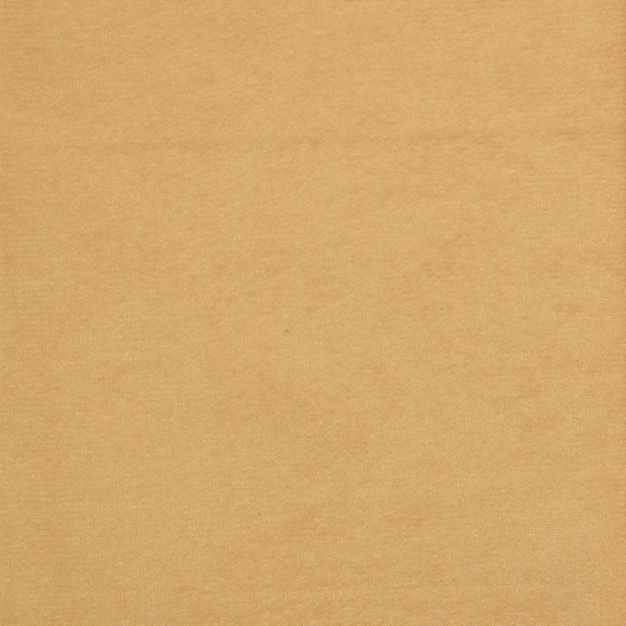 Suédine / Daim Biche en Crème