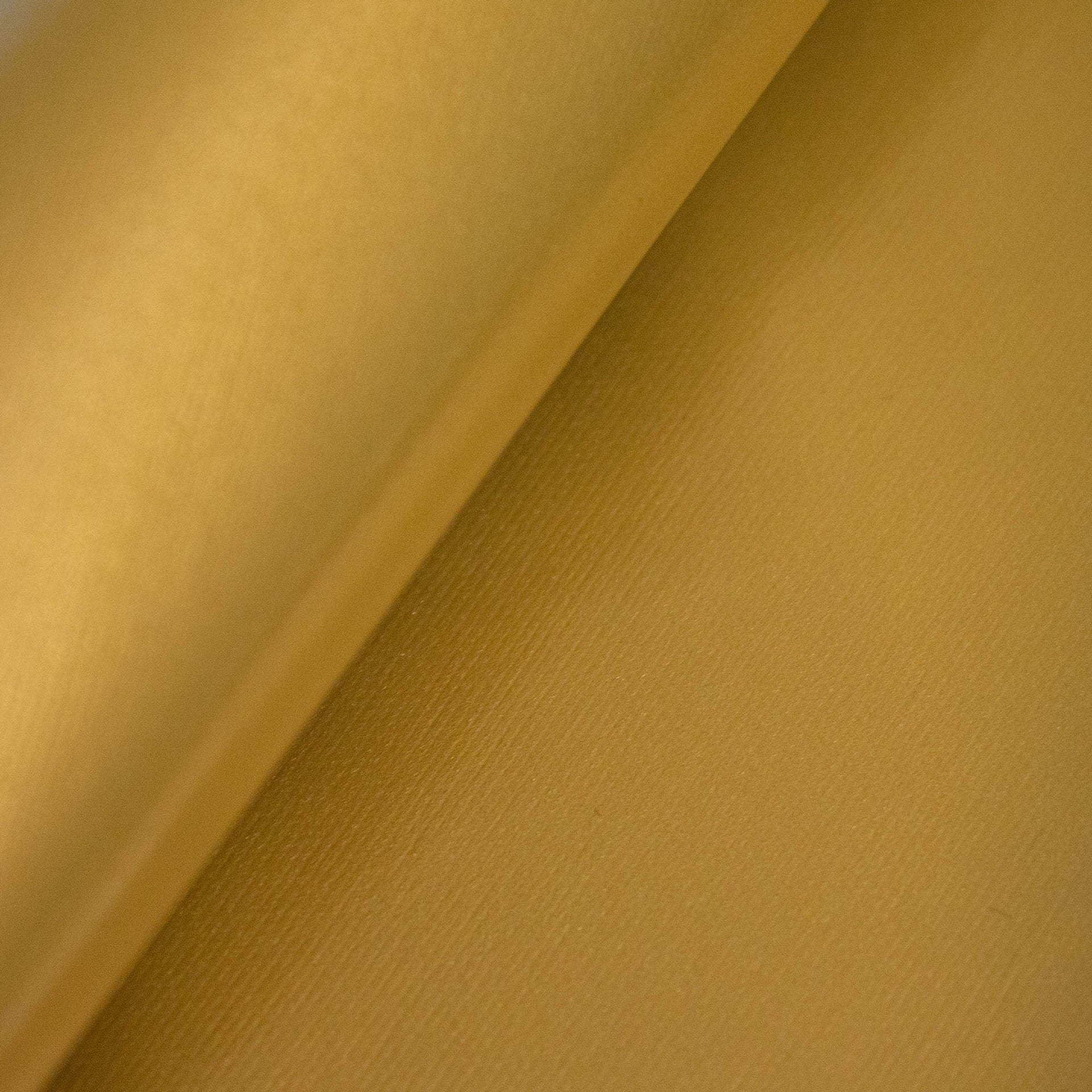 PU coated PVC Fabric used to create Inflatable Structures